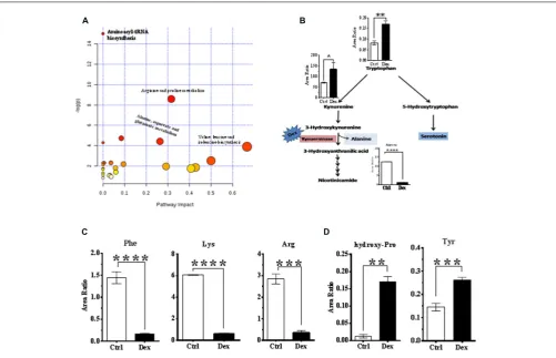 FIGURE 4 | Analysis of metabolic pathways.(B)and secondarily serotonin (5-hydroxytryptamine)