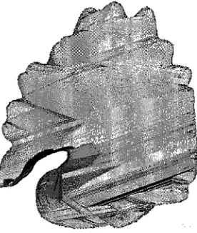 Figure 1-3. Visual hull model of DinoSparseRing dataset. 