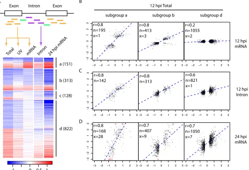FIG 2 Comparison of expression changes at 12 hpi measured by Total RNAseq versus mRNAseq