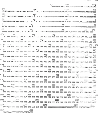 FIG. 3.Theisitsseen(15).(30mRNA312,andonpositions(GTCGAC)Fig.1204,+ at 367; 5' Nucleotide sequence of the noncoding strand of HSV-1 DNA encoding the 1,200-base3 mRNA and and 3' flanking regions