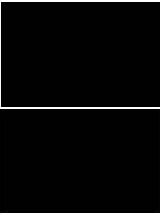 Figure 2.3. Two example stimulus pairs where the target photograph is shown on the right visual field on the top image, and on the left visual field on the bottom image