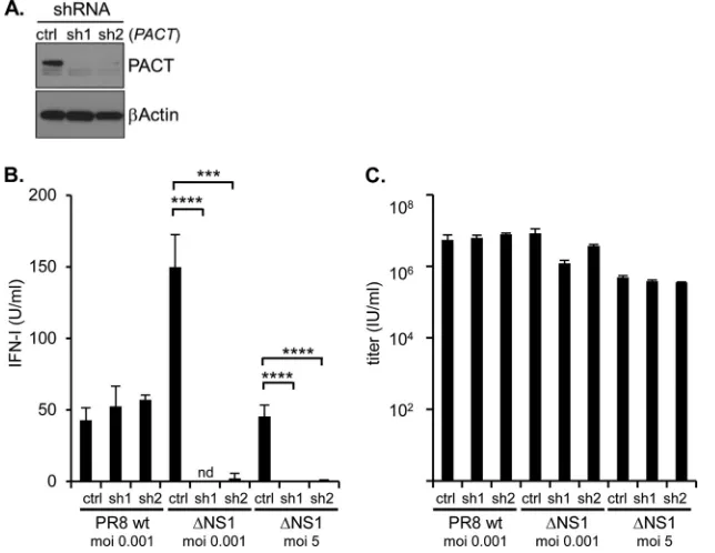 FIG 5 PACT is required for efﬁcient IFN-I production upon IVA infection in the absence of NS1