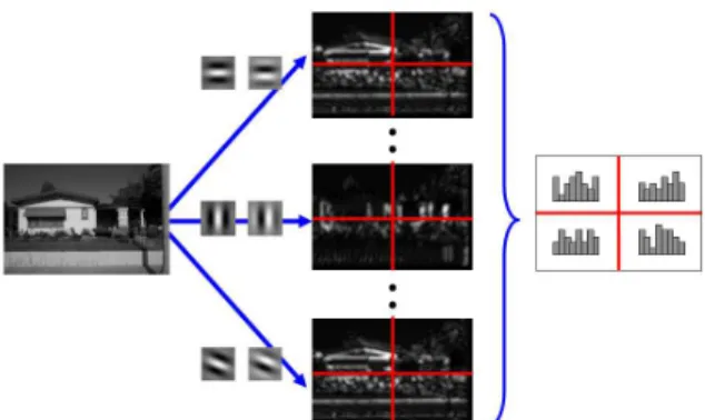 Figure 1: Orientation histogram from Gabor features