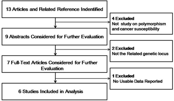 Figure 1. Studies identified with criteria of inclusion and exclusion.