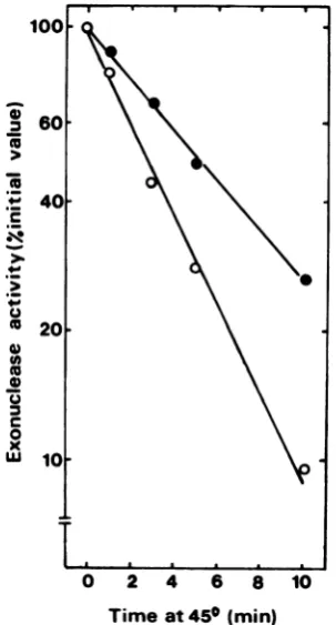 FIG. 2.jectedfactorlesscalculateatractvarioussis function Relationship between exonuclease synthe- and mRNA concentration