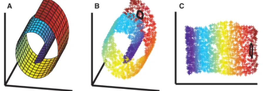 Figure 2.24 shows an examples of manifolds in 3-dimensions being reduced to 2-dimensions.