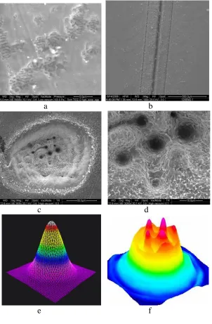Fig. 2.12 : SEM images of craters produced by femtosecond laser(785 nm) pulses on NIST 610 (a) and brass (b-d), ideal Gaussian beam (e) and distorted Gaussian beam (f)