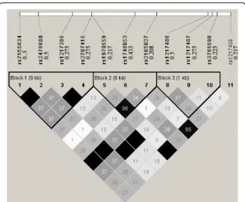 Figure 1 Pairwise R 2 among the 11 SNPs in the selected region. The 11 SNPs are: rs7555634, rs2476600, rs1217395,