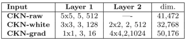 Table 1: For each layer we indicate the sub-patch size, the subsampling factor and the number of filters