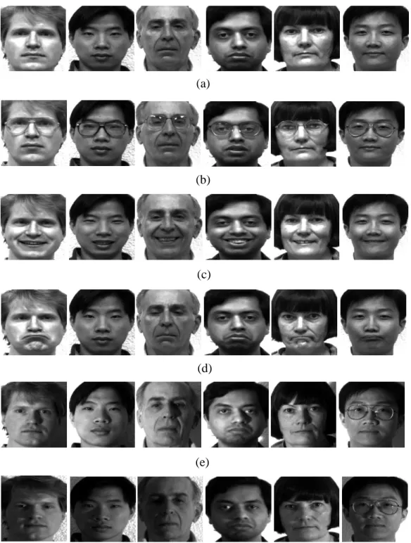 Figure 3.1: Sample cropped images from Yale database (a) normal face images  with no glasses