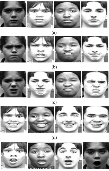 Figure  3.3:  Sample  cropped  images  from  CK+  database  (a)  neutral  face  images;  (b)  angry  face  images;  (c)  disgusted  face  images;  (d)  happy  face  images and (e) surprised face images
