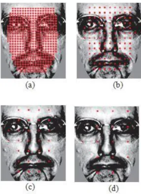 Figure 2.3: Face image with different reference points at different distances: 