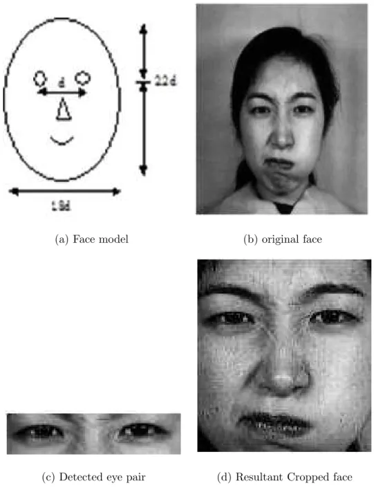 Figure 2.3: Face detection and automatic cropping