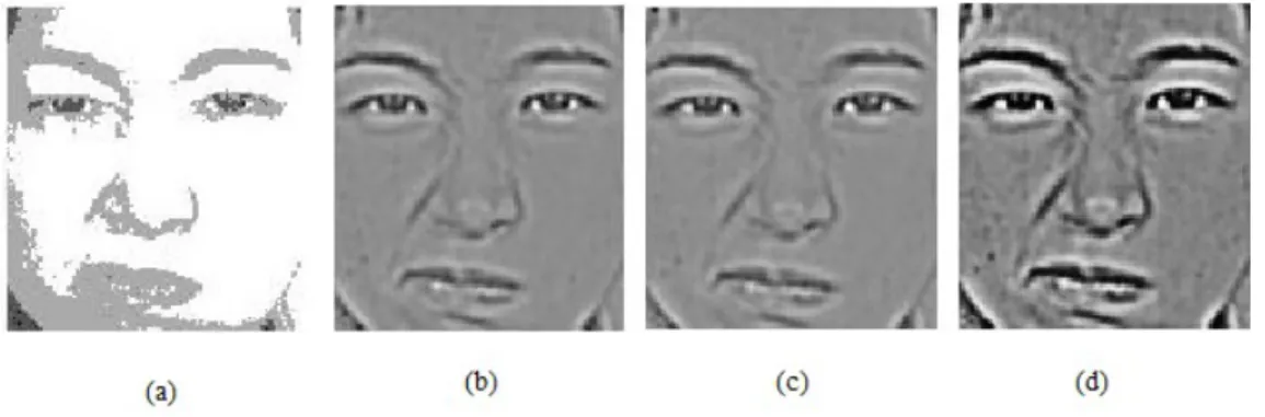 Figure 2.4: (a) gamma corrected image (b) Difference of Gaussian filtered image (c) contrast equalized image (d)final preprocessed image from JAFFE database.