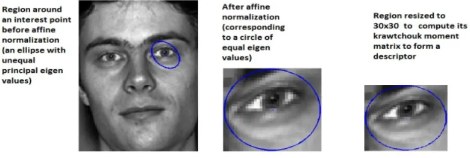 Fig. 1. The aﬃne normalization procedure.