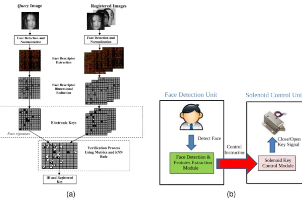 Fig. 1.  Face recognition and verification process. 