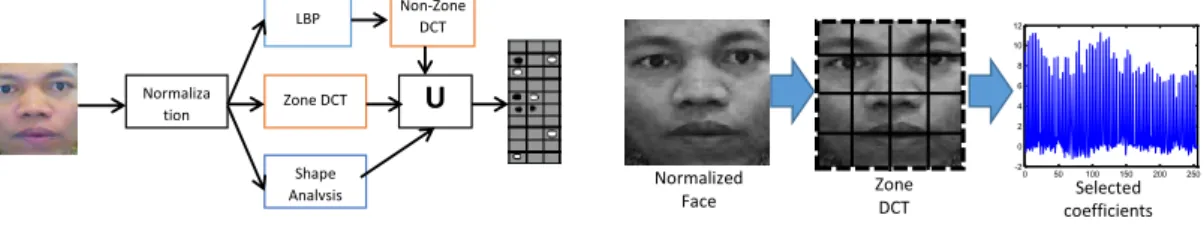 Figure 3. Face descriptor extraction processes
