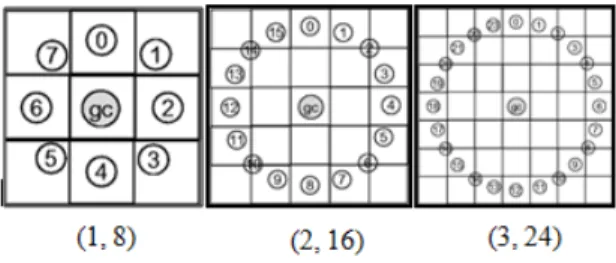Fig. 8. General face recognition structure.