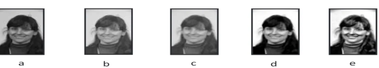 Fig. 1 Preprocessing steps applied to a Color FERET image. (a) original image resized to 64×96 pixels; (b) Result of GIC on (a); (c) Result of Blur on (b); (d) Result of Decorrelation Stretching on (c); (e) Result of AHE on (d).