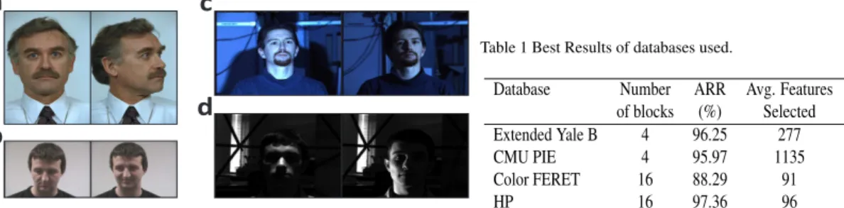 Fig. 8 Sample images of various databases (a) Color FERET, (b) HP, (c) CMU PIE, (d) Extended Yale B.