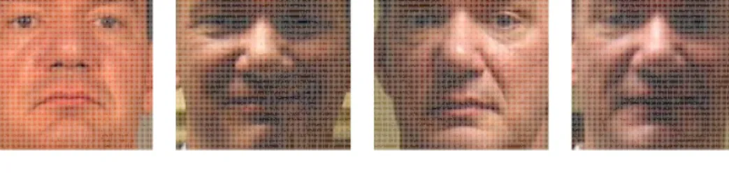Figure 1.1 Examples of face image variations. Large image variations in illumination, expression, and blurring pose challenges to face recognition.