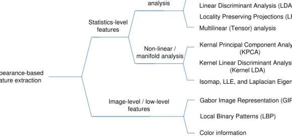 Figure 1.3 Hierarchical structure of the appearance-based feature extraction in face recog- recog-nition.