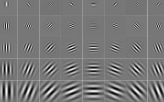 Figure 1.4 Gabor wavelets: the real part of the Gabor kernels at five scales and eight orientations.