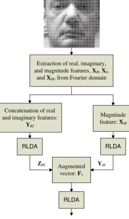 Figure 2.3 The multiple frequency features fusion scheme for the R component image.