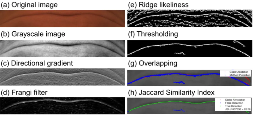 Fig. 2. Hybrid Hessian filter. (a) Original image was cropped from the Bosphorus dataset [20]