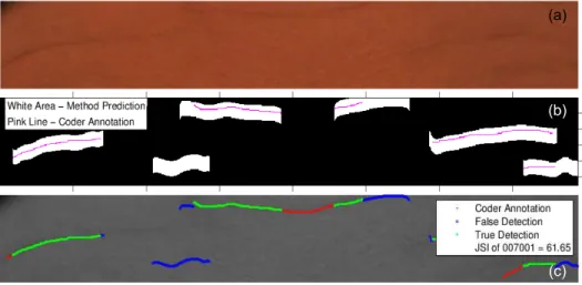 Fig. 3. Pixel overlapping between coders. (a) Original image. (b) Method annotation (or white area) has expanded nine pixels to top and bottom from its original location as shown in (c) as blue and green line