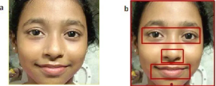 Fig. 2. (a) Cropped face   (b) Selected region of face 