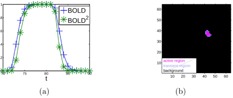 Figure 2.3: (a): plot of the BOLD signal and of its square. (b): active, transient and inactive brain regions.