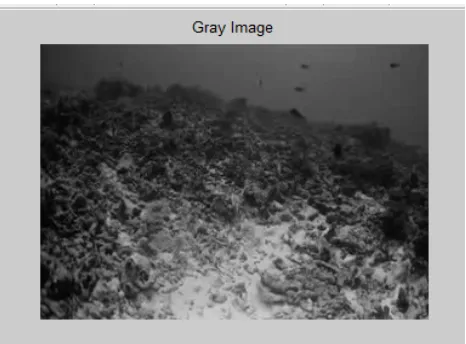 Figure 3: Shows Video frame as input  