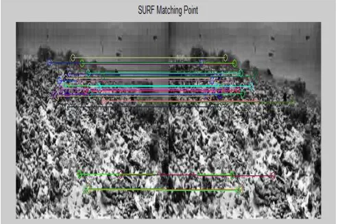 Figure 5: Shows contrast-limited adaptive Histogram Equalization of Image.   