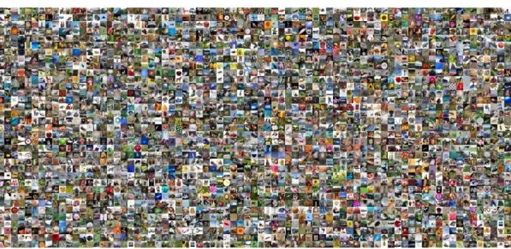 Fig. 6 Some example images from the TinyImage dataset (Color figure online)