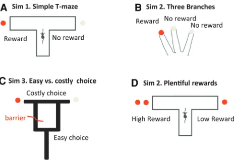 Figure 1.Setups of the four simulations. (branches. (A) First simulation, with twoB) Second simulation, with three branches