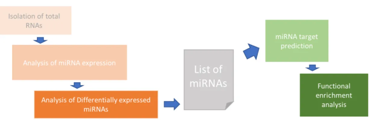 Figure  3.  Typical  miRNA  analysis  workflow.  The  analysis  of  miRNAs  starts  with  the  isolation  of  total  RNAs  from  samples