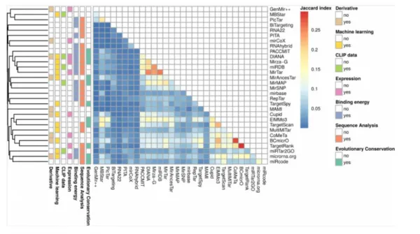Figure 4. The results of different miRNA target prediction algorithms are not uniform