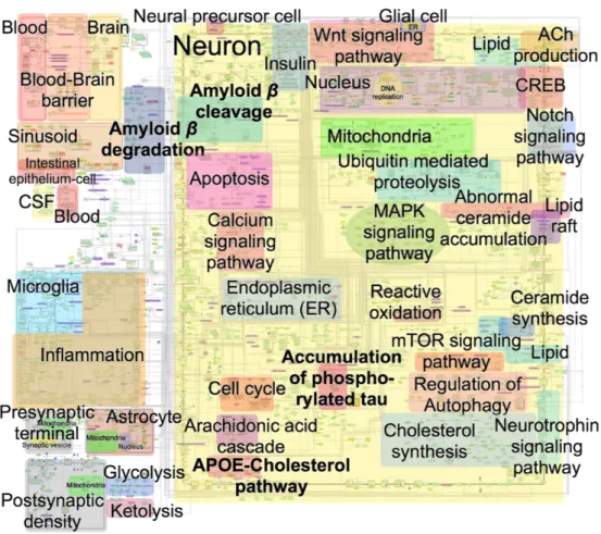 Figure 4: Overview of AlzPathway overlaid with canonical pathway annotations. Most of the pathways identified in this work overlap with NeuroMMSig