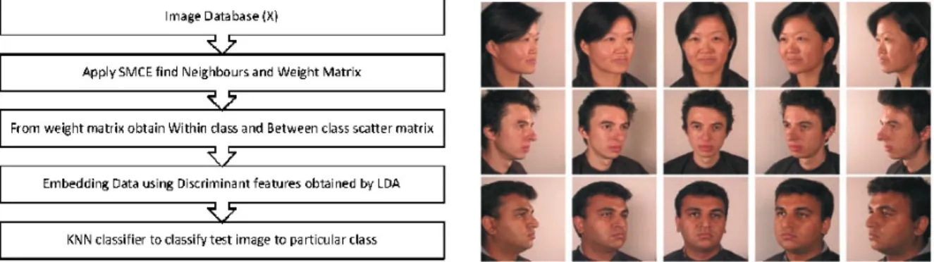 Fig. 3. Algorithm for Face Recognition using SMCE with LDA. Fig. 4. Some Images from Facepix Database 10 .