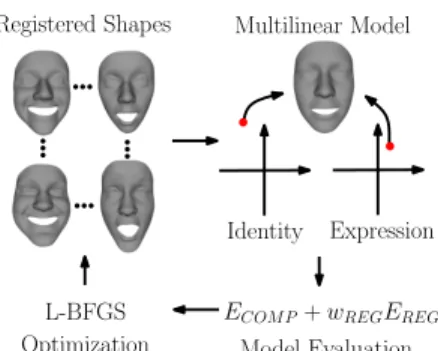Figure 1. Overview of the iterative multilinear registration.