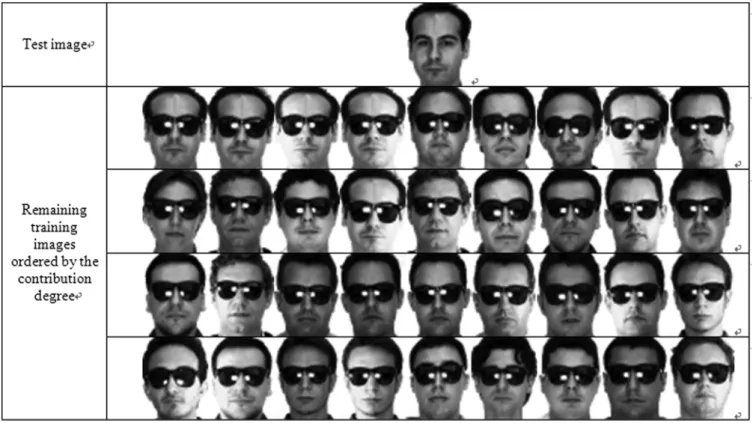 Fig. 6 An example of the first 20 remaining images (400 in total) ordered by their contribution degrees.