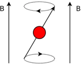 Figure 1.1.1: Precession of a spin can be viewed as similar to the motion of a spinning top.