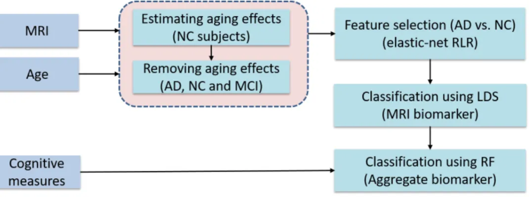Figure 6.2: Workflow of the aggregate biomarker.