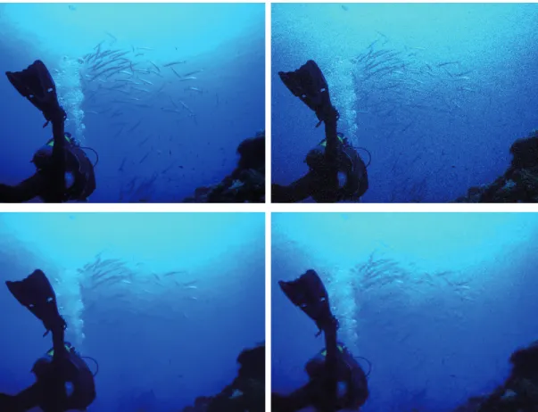 Figure 1.1 – Adaptive denoising using graphs. In this ﬁgure, the original image is on the top- top-left corner, the corrupted image in the top-right corner (SNR 13.07 dB)