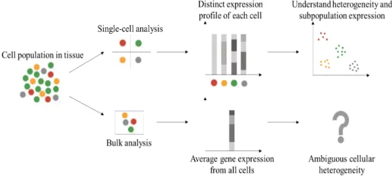 Figure 1.1: Single-cell analysis can help us understand cellular-level heterogeneity and cell subpopulation expression profiles.