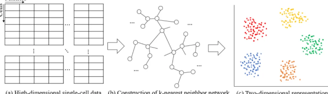 Figure 2.1: Outline of visualization of large-scale and high-dimensional single-cell data