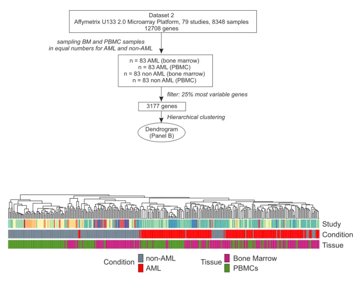 Figure S2 A B Study Condition Tissue