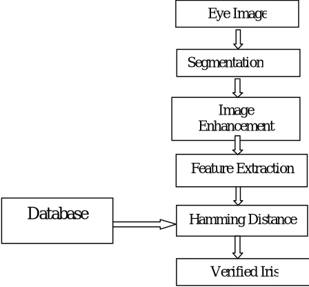 figure 3.1: Flow Chart of Iris Recognition System  