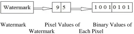 Fig. 1. Image pixels are converted into binary form  